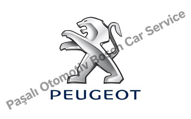 Bodrum Peugeot Service